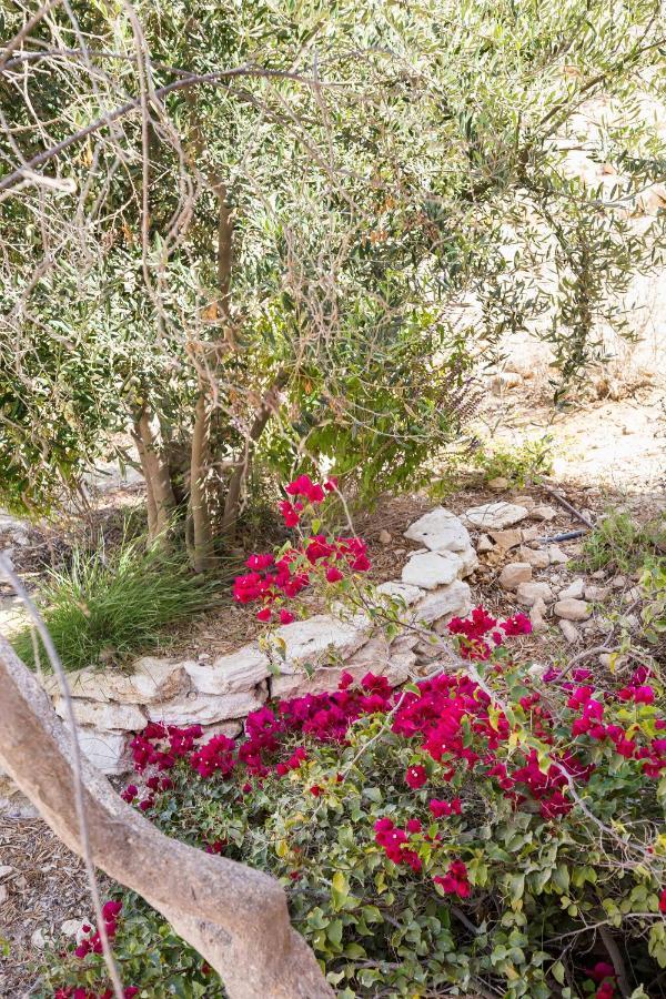Naot Farm Villa Mashabbe Sade Bagian luar foto